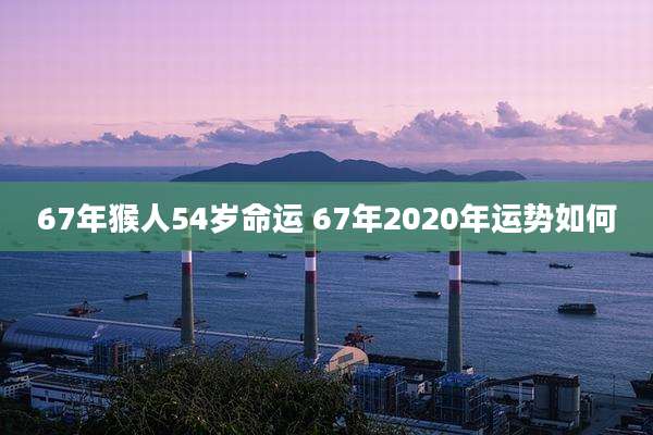 67年猴人54岁命运 67年2020年运势如何