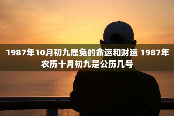 1987年10月初九属兔的命运和财运 1987年农历十月初九是公历几号