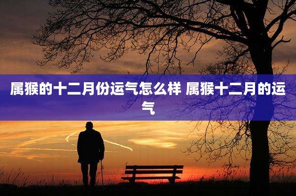 属猴的十二月份运气怎么样 属猴十二月的运气