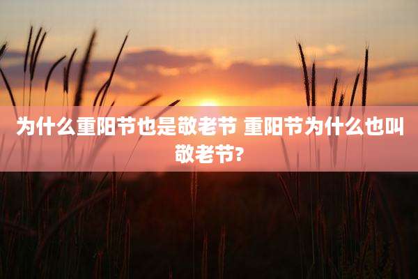 为什么重阳节也是敬老节 重阳节为什么也叫敬老节?