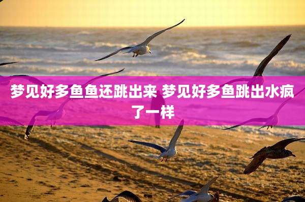 梦见好多鱼鱼还跳出来 梦见好多鱼跳出水疯了一样