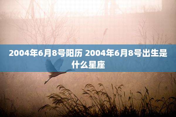 2004年6月8号阳历 2004年6月8号出生是什么星座
