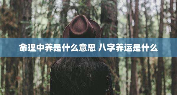 命理中养是什么意思 八字养运是什么