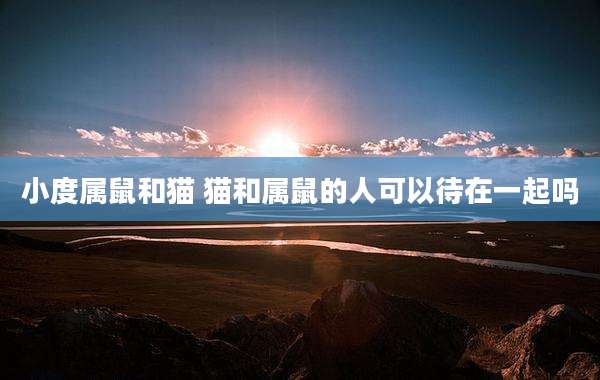 小度属鼠和猫 猫和属鼠的人可以待在一起吗