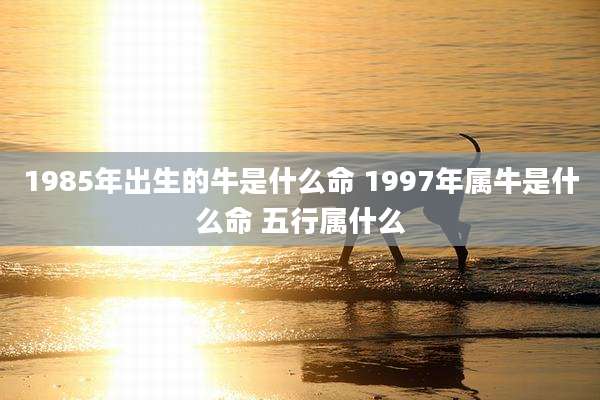 1985年出生的牛是什么命 1997年属牛是什么命 五行属什么