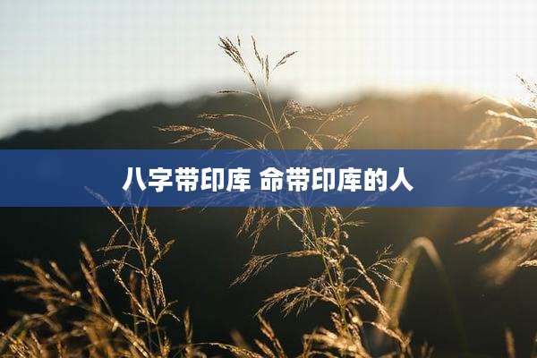 八字带印库 命带印库的人