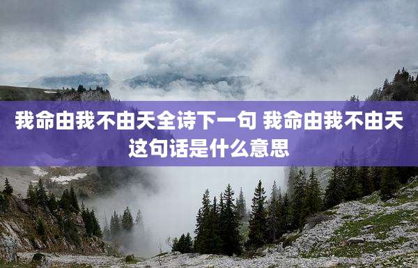 我命由我不由天全诗下一句 我命由我不由天这句话是什么意思