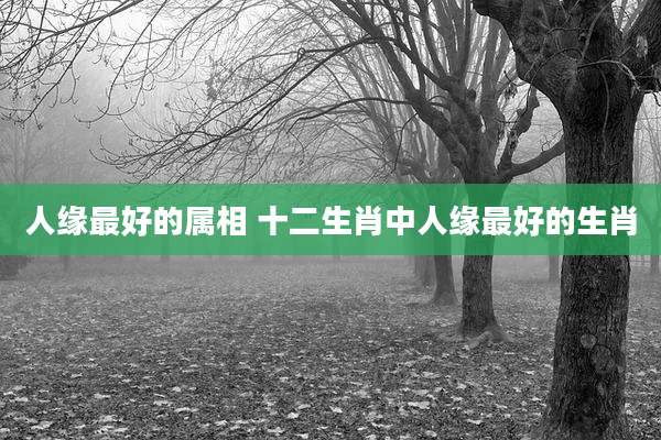 人缘最好的属相 十二生肖中人缘最好的生肖
