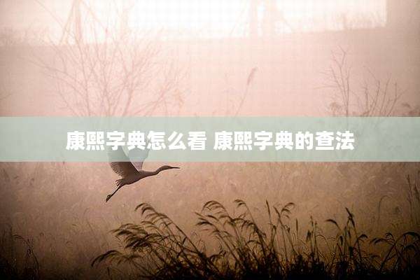 康熙字典怎么看 康熙字典的查法