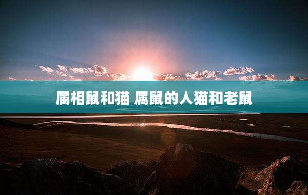 属相鼠和猫 属鼠的人猫和老鼠