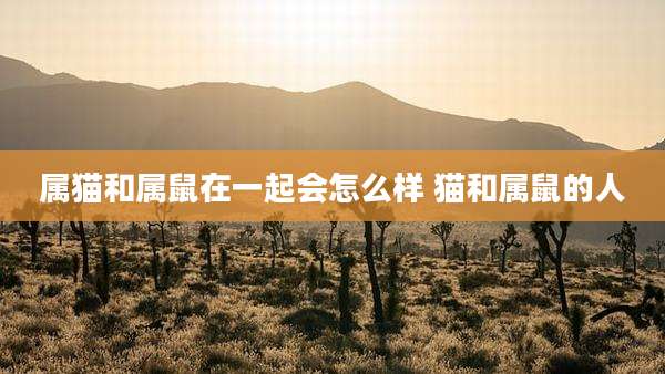 属猫和属鼠在一起会怎么样 猫和属鼠的人