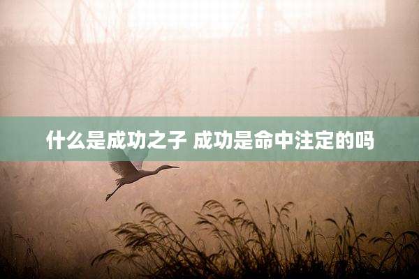什么是成功之子 成功是命中注定的吗