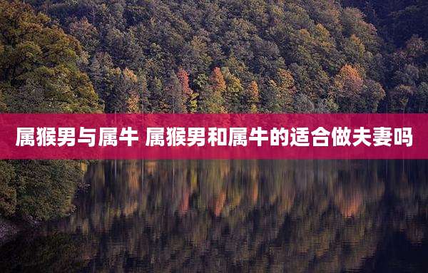 属猴男与属牛 属猴男和属牛的适合做夫妻吗
