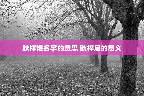 耿梓煜名字的意思 耿梓晨的意义