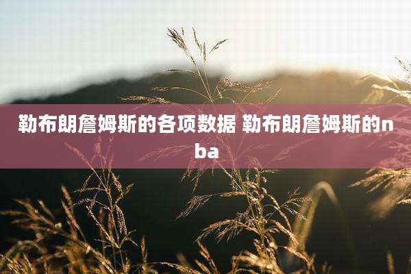 勒布朗詹姆斯的各项数据 勒布朗詹姆斯的nba