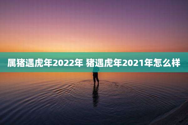 属猪遇虎年2022年 猪遇虎年2021年怎么样