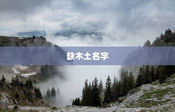缺木土名字