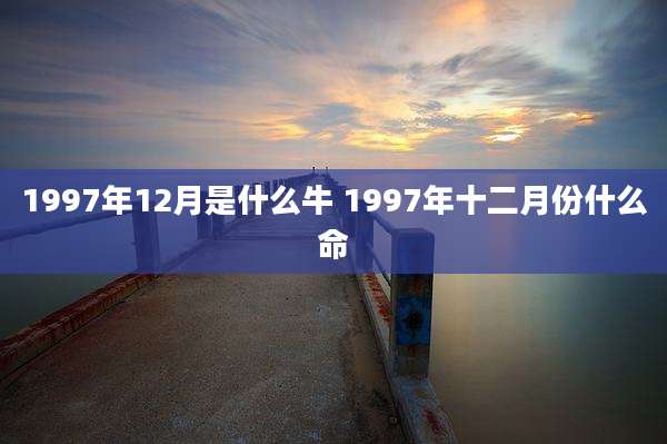 1997年12月是什么牛 1997年十二月份什么命