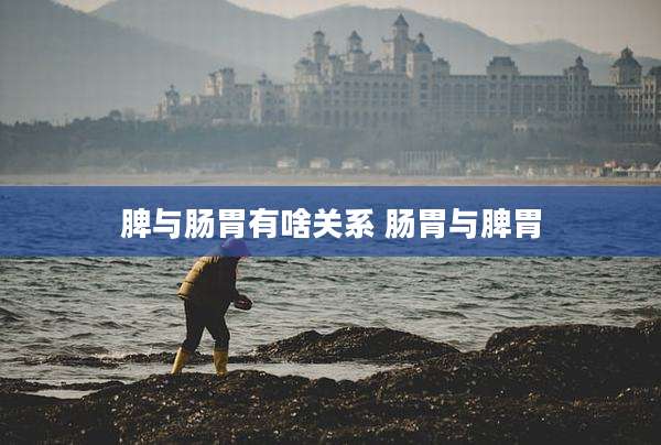 脾与肠胃有啥关系 肠胃与脾胃