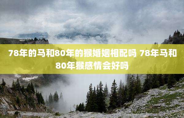 78年的马和80年的猴婚姻相配吗 78年马和80年猴感情会好吗