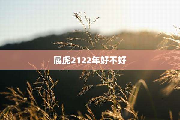 属虎2122年好不好