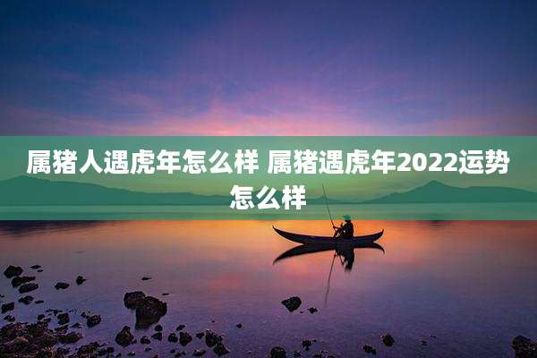 属猪人遇虎年怎么样 属猪遇虎年2022运势怎么样