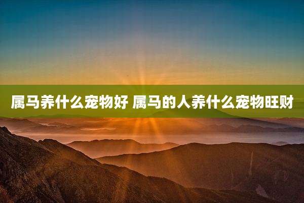 属马养什么宠物好 属马的人养什么宠物旺财