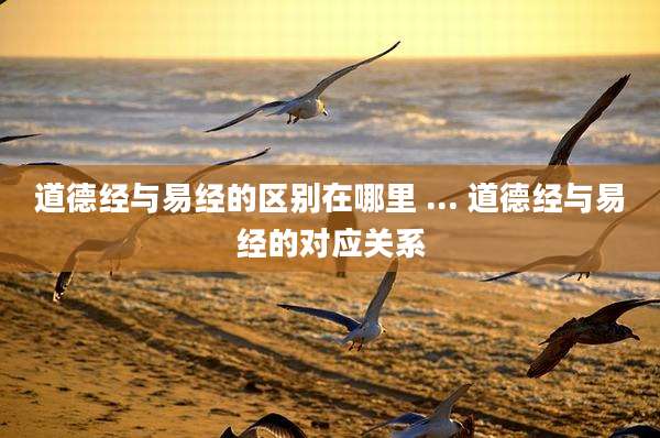 道德经与易经的区别在哪里 ... 道德经与易经的对应关系