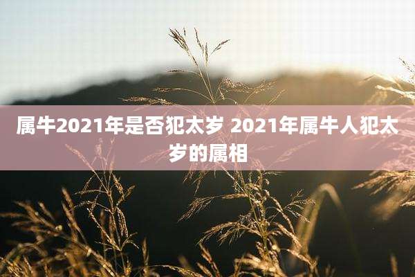 属牛2021年是否犯太岁 2021年属牛人犯太岁的属相