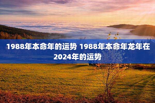 1988年本命年的运势 1988年本命年龙年在2024年的运势