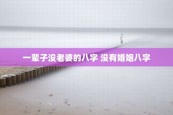 一辈子没老婆的八字 没有婚姻八字