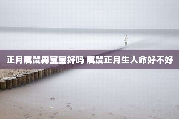 正月属鼠男宝宝好吗 属鼠正月生人命好不好