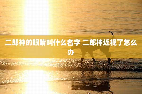 二郎神的眼睛叫什么名字 二郎神近视了怎么办
