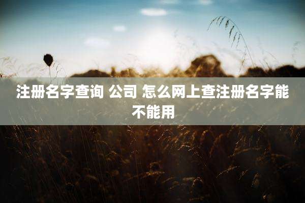 注册名字查询 公司 怎么网上查注册名字能不能用
