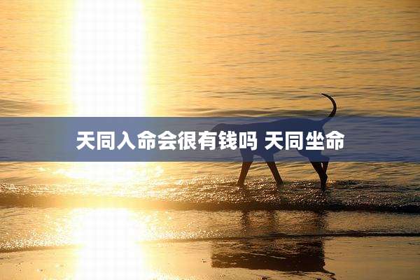 天同入命会很有钱吗 天同坐命