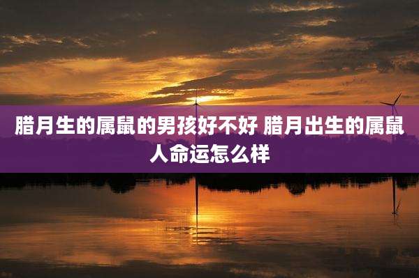 腊月生的属鼠的男孩好不好 腊月出生的属鼠人命运怎么样