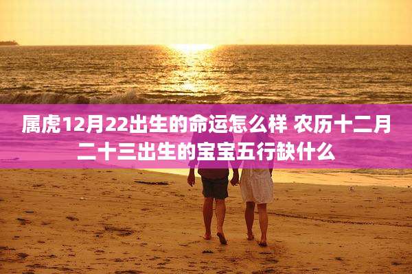 属虎12月22出生的命运怎么样 农历十二月二十三出生的宝宝五行缺什么