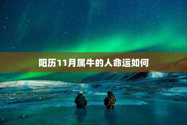 阳历11月属牛的人命运如何