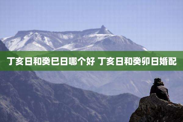 丁亥日和癸巳日哪个好 丁亥日和癸卯日婚配