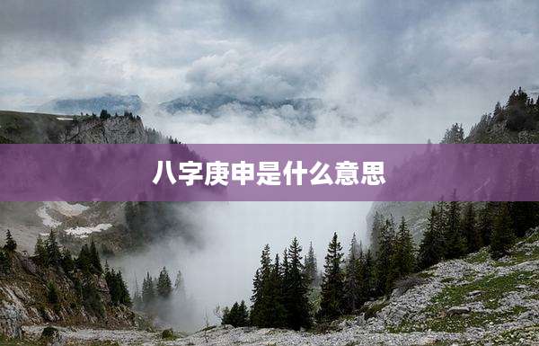 八字庚申是什么意思
