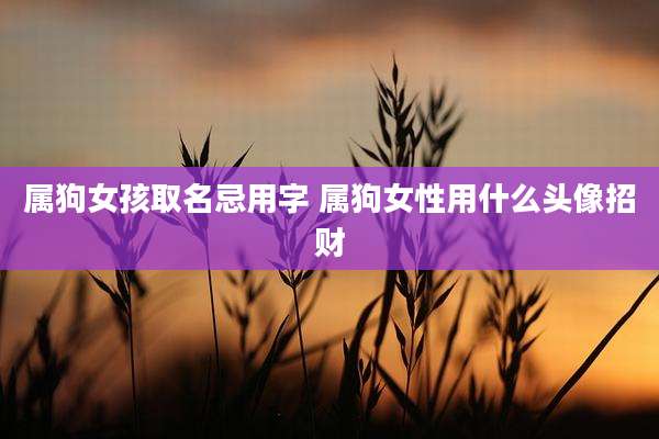 属狗女孩取名忌用字 属狗女性用什么头像招财