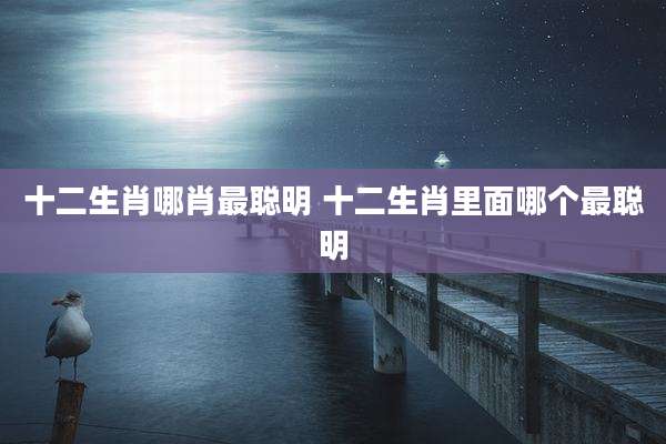 十二生肖哪肖最聪明 十二生肖里面哪个最聪明