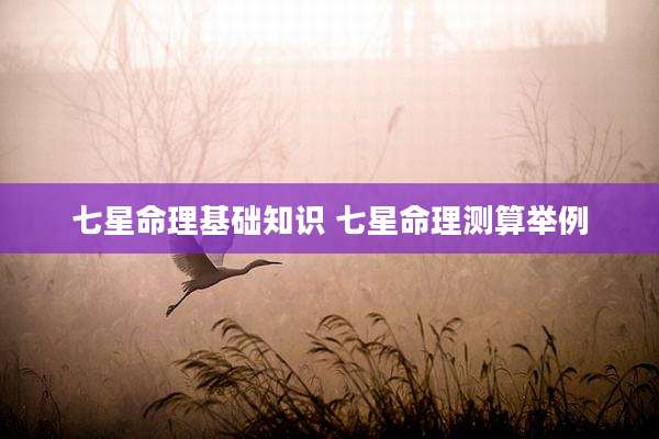 七星命理基础知识 七星命理测算举例
