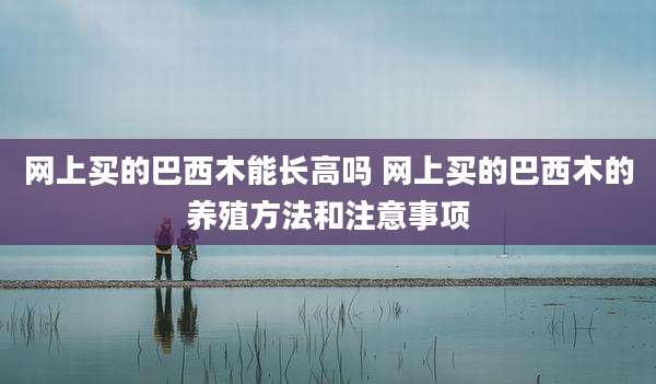 网上买的巴西木能长高吗 网上买的巴西木的养殖方法和注意事项