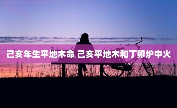 己亥年生平地木命 己亥平地木和丁卯炉中火