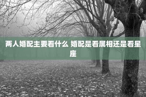 两人婚配主要看什么 婚配是看属相还是看星座