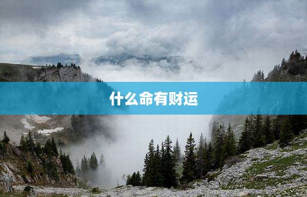 什么命有财运