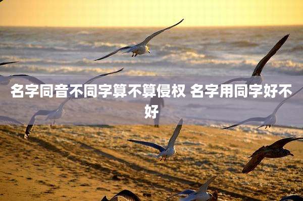名字同音不同字算不算侵权 名字用同字好不好