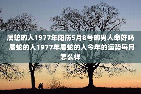 属蛇的人1977年阳历5月8号的男人命好吗 属蛇的人1977年属蛇的人今年的运势每月怎么样