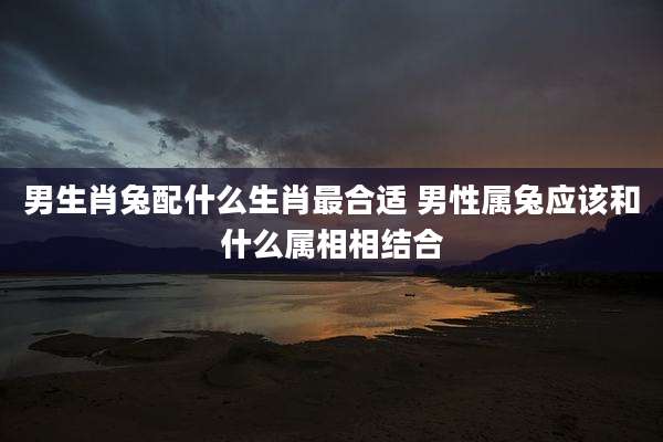 男生肖兔配什么生肖最合适 男性属兔应该和什么属相相结合